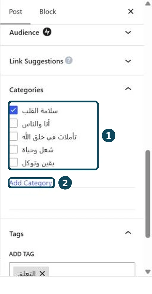 The Categories section of the Post tab