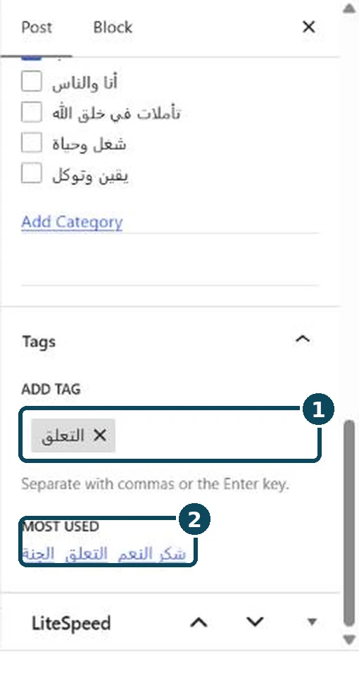 The Tags section of the Post tab